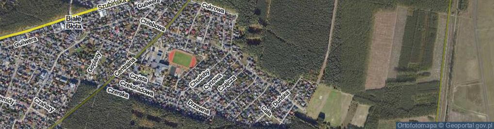 Zdjęcie satelitarne Iglasta ul.